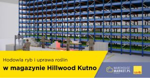 Fish farming and lettuce from Hillwood Kutno